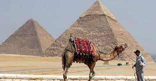 Egypt is Willing to Help the Investors, Mainly in Tourism, Says the PM 3 download 8 2