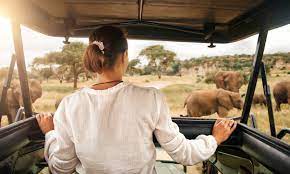 In just a Decade, Africa Tourism to Generate 14 Million Job Opportunities 3 download 1 1