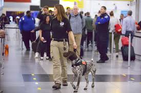 TSA expects a record-breaking 3.8 million travel this summerTravel And Tour World 3 images 1 1