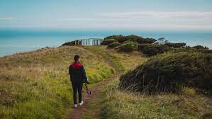 As pandemic rules eased in NZ, tourists are welcomed once again to the country 3 pandemic rules eased in NZ