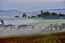 Expansion of Helen & Joey Estate creates new venue for Yarra Valley 3 Helen & Joey Estate