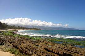 The hot spots in North Shore to get new public transit 3 The hot spots in North Shore