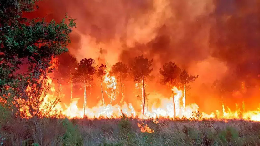 Wildfires Threaten Southern Europe: UK Issues Travel Warnings for Greece, Portugal, and Spain Amid New Rising Risks – Travel And Tour World