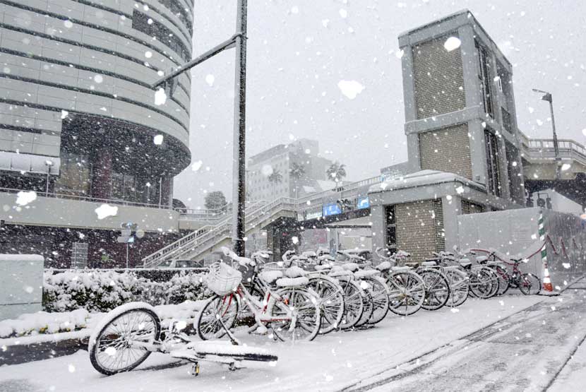Snowstorm in Tokyo disrupts road, rail and air transport