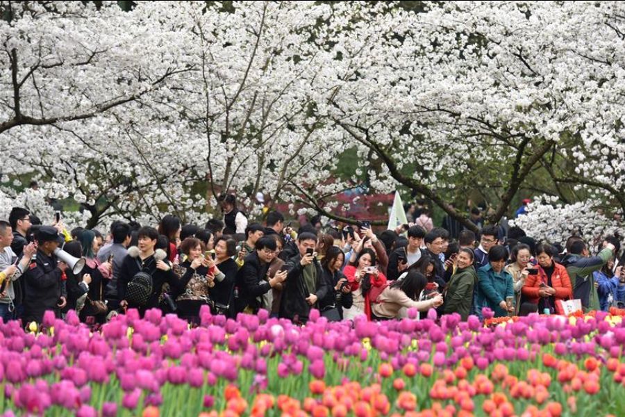 China’s outbound tourism rebounds during Spring Festival
