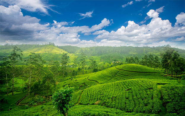 Sri Lanka