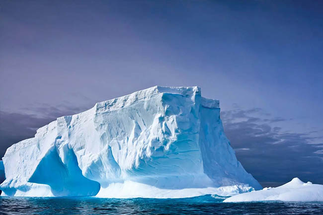 Antarctic , Lindblad Expeditions, National Geographic, 
