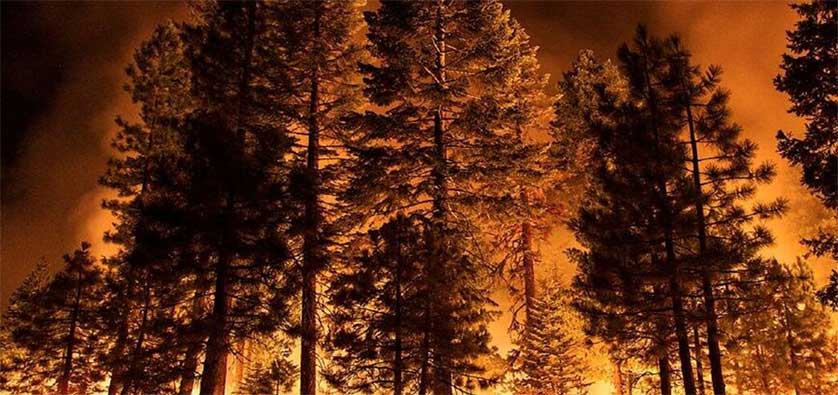 Tourism Sector Faces Major Setbacks as Wildfires in Portugal and Devastating Floods in Poland, Romania, Austria, Czech Republic and Hungary Threaten European Travel Industry – Travel And Tour World