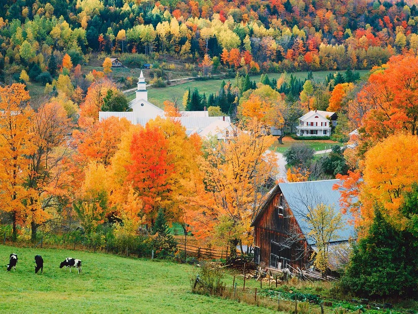  Canada 