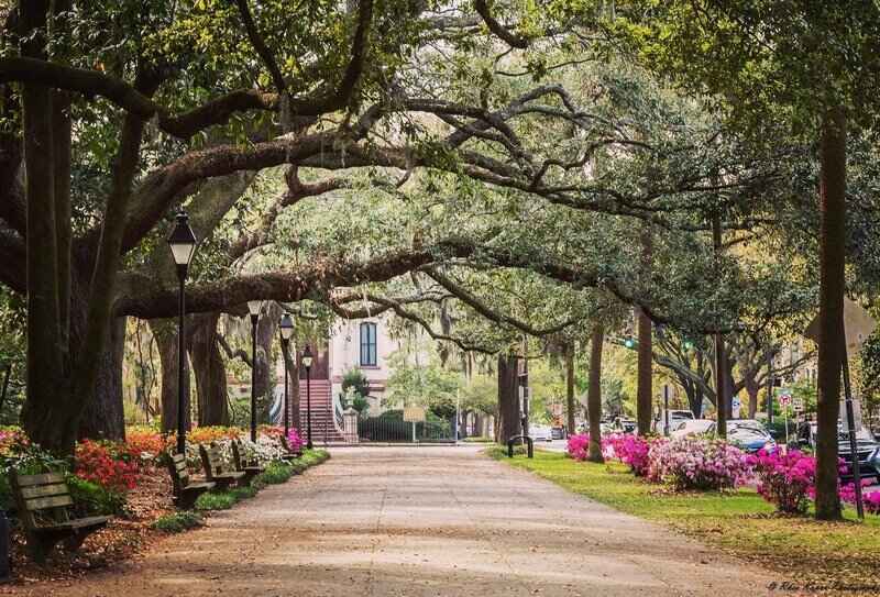 Savannah tourism can exceed the numbers of 2022