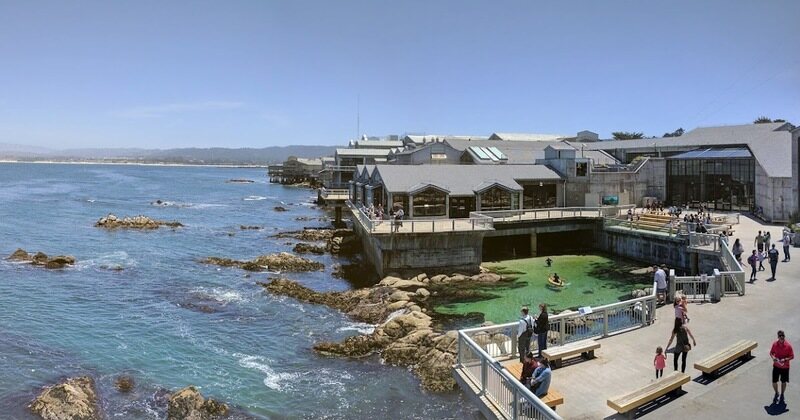 Monterey, Californian, 