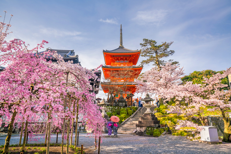 Japan_tourists