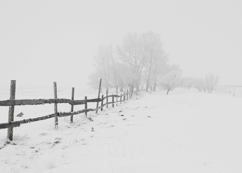 Usa, snow, northeastern cities
