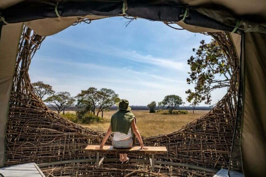 Chisa busanga, perhaps one of zambia's most distinctive camps, will commence operations on May 1, 2024, instead of the previously scheduled June 1, thanks to favorable conditions within Kafue National Park. With an earlier availability of drier grounds, guests will have the opportunity to indulge in walking, biking, and game drives for an extended period, exceeding the original plans by a month.