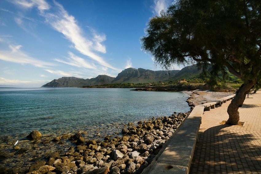 New travel news update: Majorca considers strict five-year rule for UK tourists