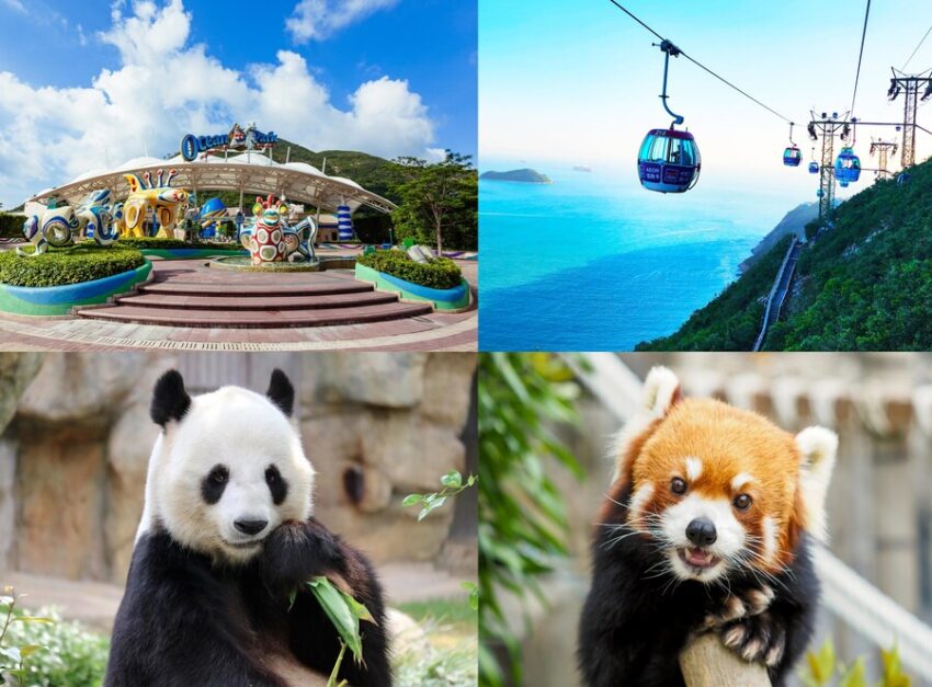 Ocean Park Hong Kong: The Ultimate Getaway With Top-tier Animal Exhibits And Thrilling Rides.