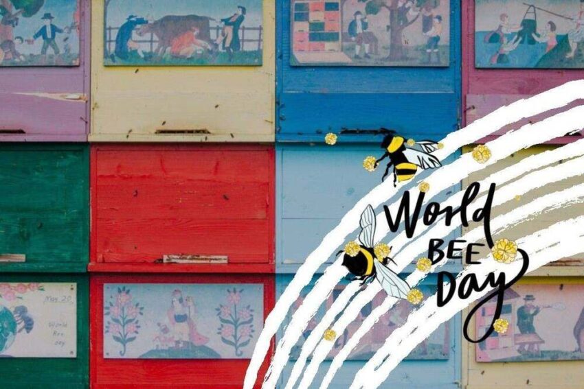 World Bee Day Celebration in Slovenia Marks 7th Anniversary with Focus on Youth Engagement and Sustainable Pollination Practice