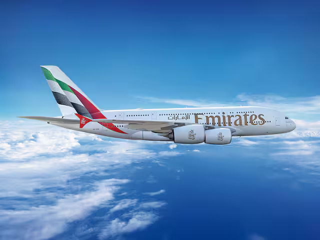 How Bird Strikes Damaged an Emirates Flight on Route from Dubai to Mumbai