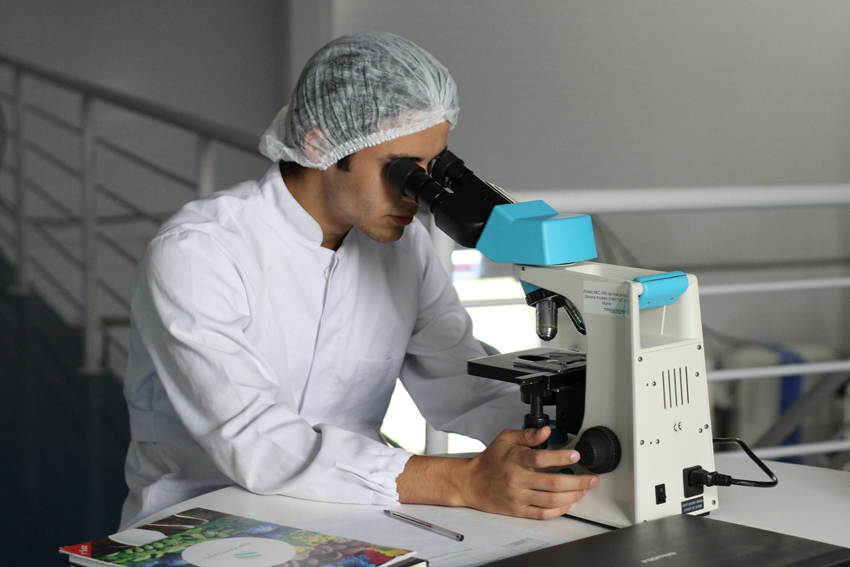 Egypt’s digital leap into medical tourism: A new innovation for the future of travel