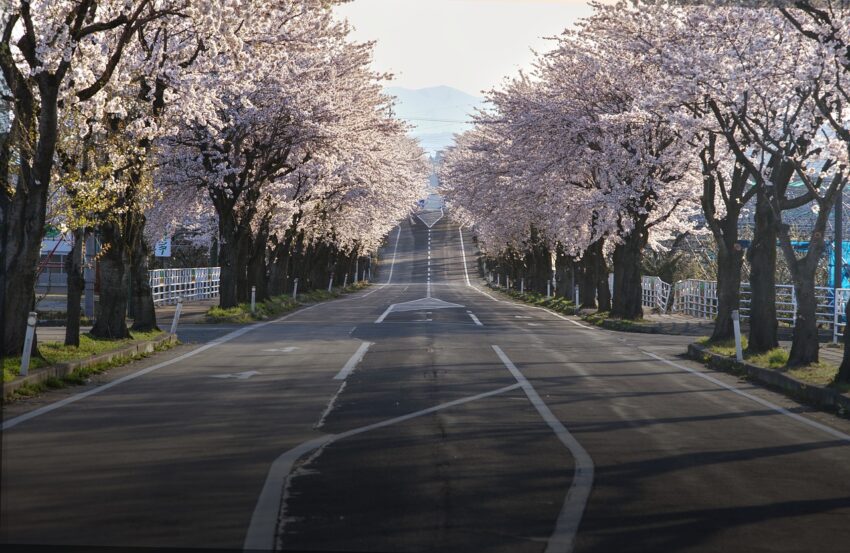 Heatstroke in Japan Claims 4 Lives Causing Risk for International Tourists and Creates Travel Chaos