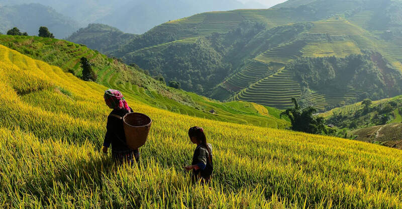Voyage Vietnam’s 30-Year Milestone: Celebrating a Legacy of Superior Travel Services – Travel And Tour World
