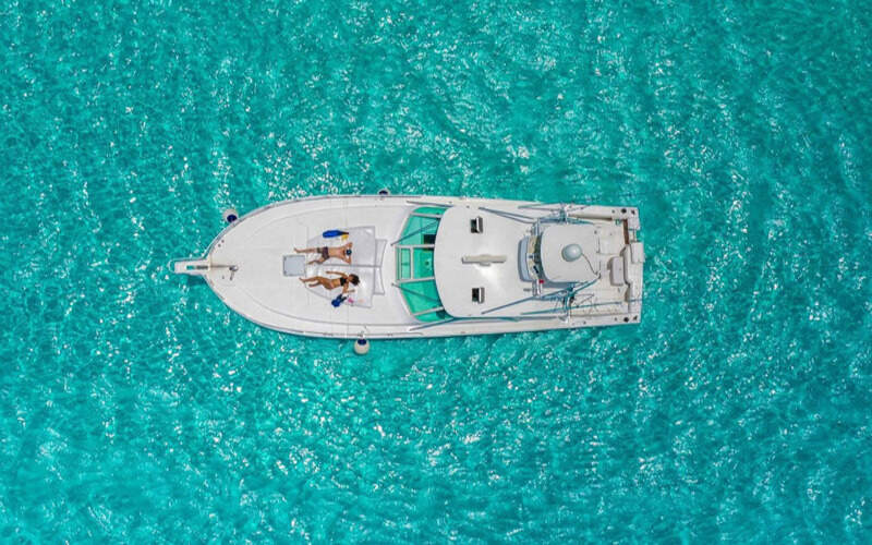 Msc cruises