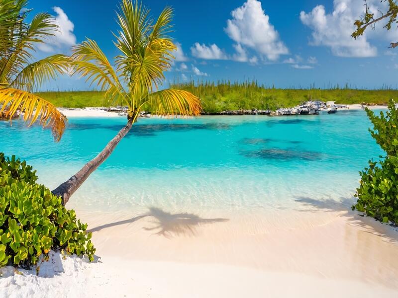 The bahamas