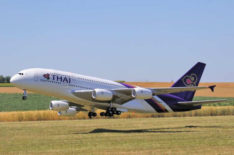 タイ国際航空 B787-9 B787-9