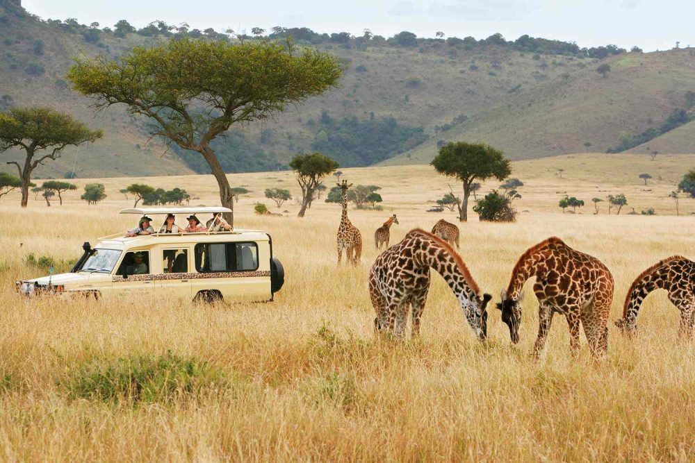 Serengeti, Maasai Mara, dan Taman Nasional Kruger Memimpin Jalan Seiring  Melonjaknya Pariwisata Safari di Afrika di Tengah Permintaan Perjalanan  Mewah dan Petualangan - Travel And Tour World