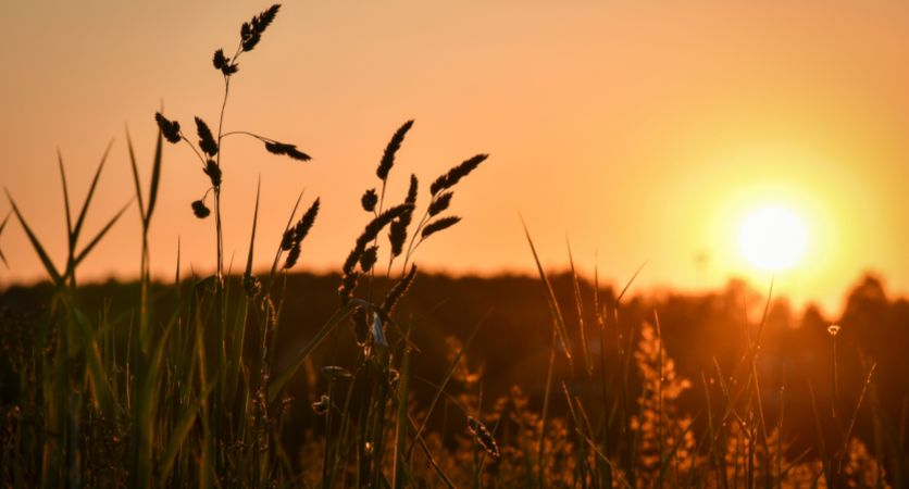 CBP implements advanced technology and mobile solutions to accelerate the arrival of summer 2025 International, you need to know