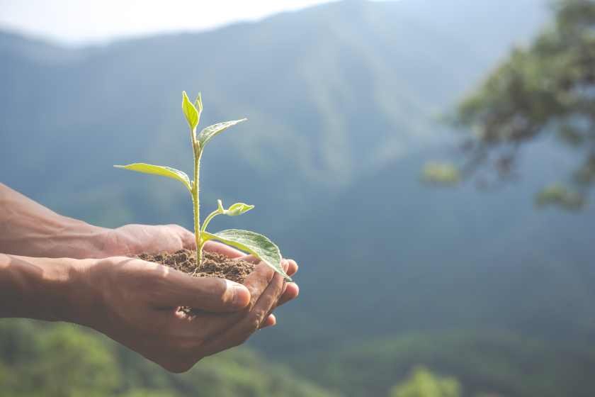 Environmental-conservation-garden-children - travel and tour world