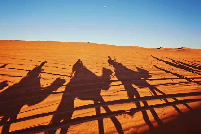 Saudi arabia tourism roar - recreation and circuit world