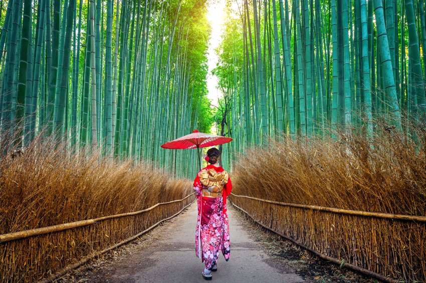 Bamboo-forest-asian-woman-wearing-japanese-traditional-kimono-bamboo-forest-kyoto-japan - travel and tour world