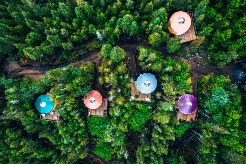 High-angle-view-trees-plants-forest - travel and tour world