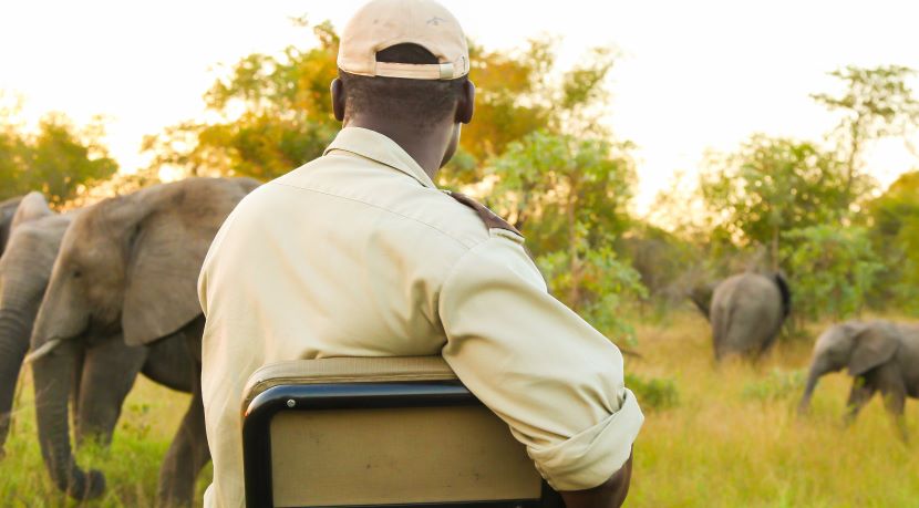 Africa tourism - travel and tour world Kenya tourism board and african tourism board logo displayed alongside promotional banner for atif 2025, highlighting tourism growth and investment in africa.