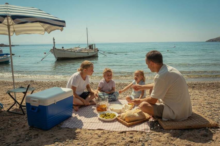 Choosing Day Trips  Choosing Day Trips  Choosing Day Trips