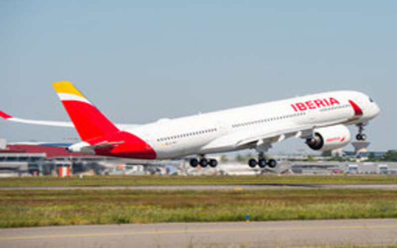 Iberia bird strike