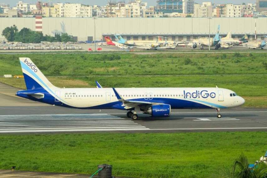 Indigo - travel and tour world