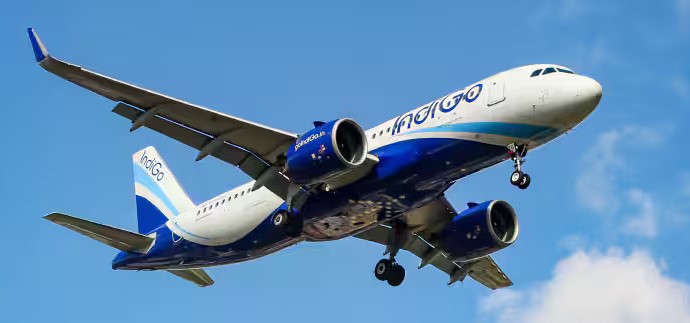 Indigo - travel and tour world