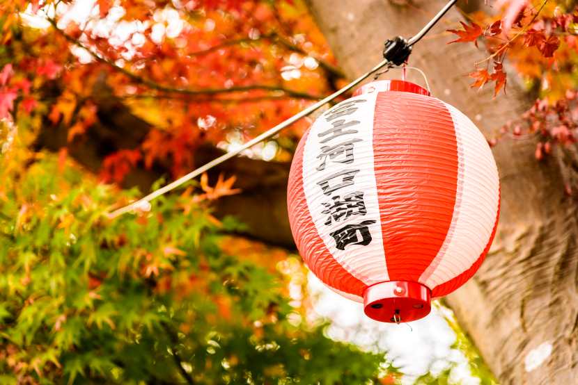 Lanterns lit during the obon festival in japan, symbolizing cultural tourism and honoring ancestors with vibrant traditions and spiritual celebrations.