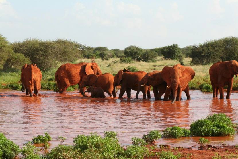 Tana River, Kenya Joins Forces With Gruppo Cestari To Boost Sustainable Tourism And Heritage Preservation