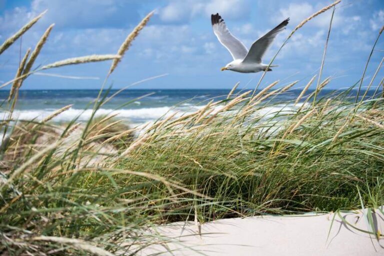 Sopot