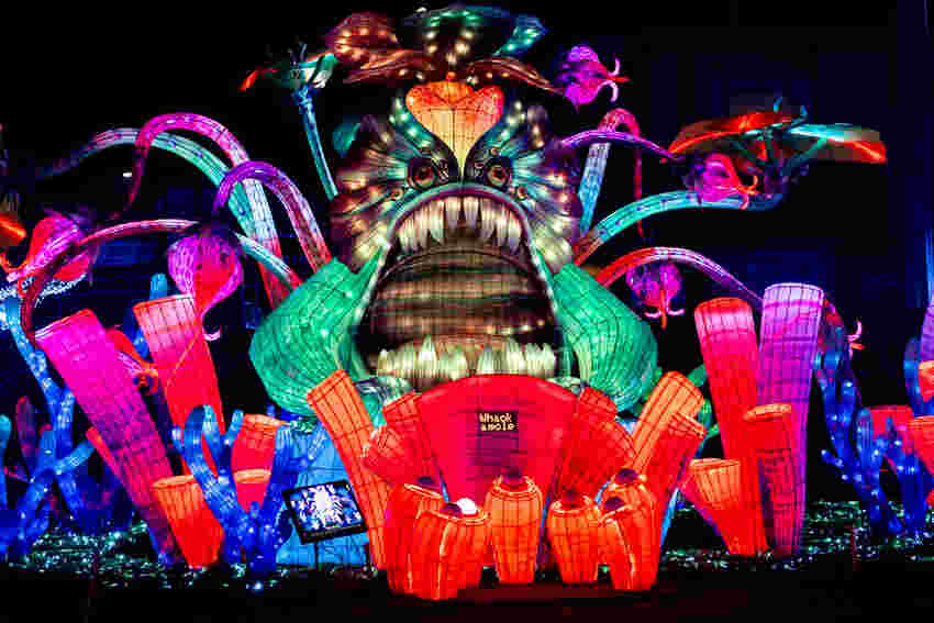 Texas Welcomes the Magical Tianyu Lights Festival Featuring