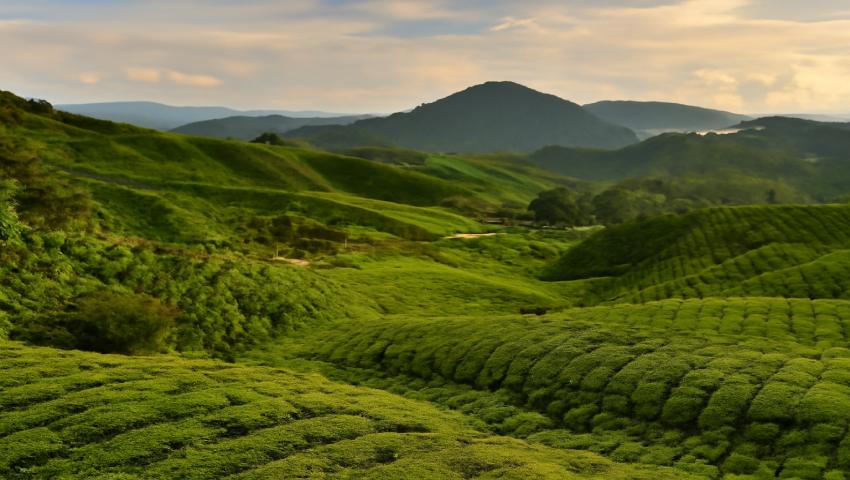 Agoda top rural destinations - travel and tour world Agoda top rural destinations