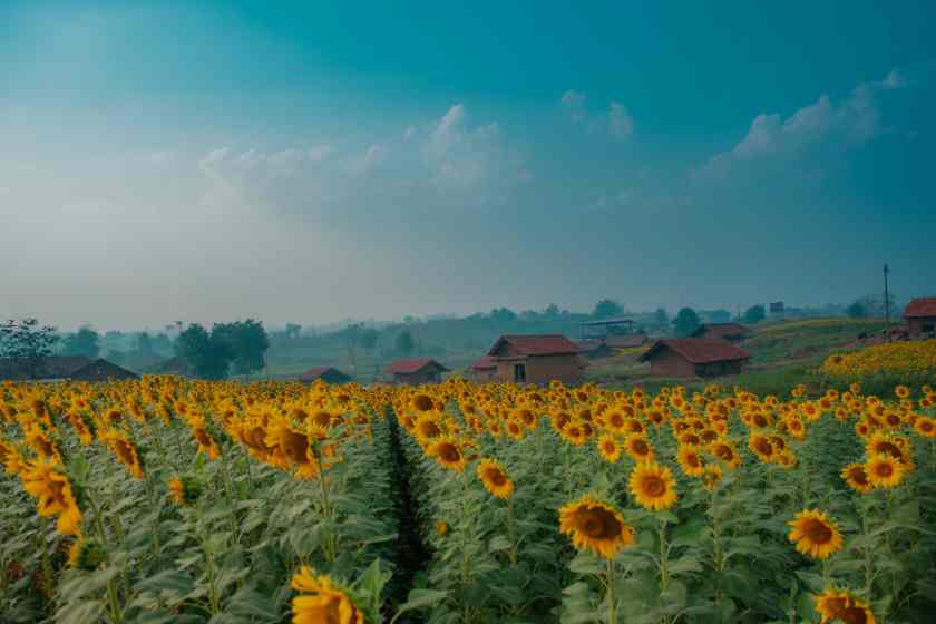 Revitalizing Andhra Pradesh’s Rich History: New Heritage Tourism Policy Announced