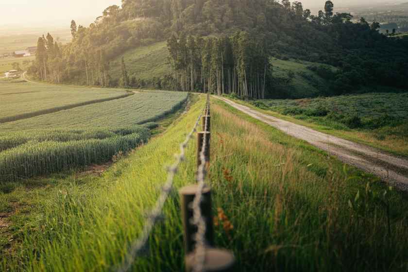 New Travel Challenges: Poland and Lithuania Enforce Border Restrictions Amid Military Drills