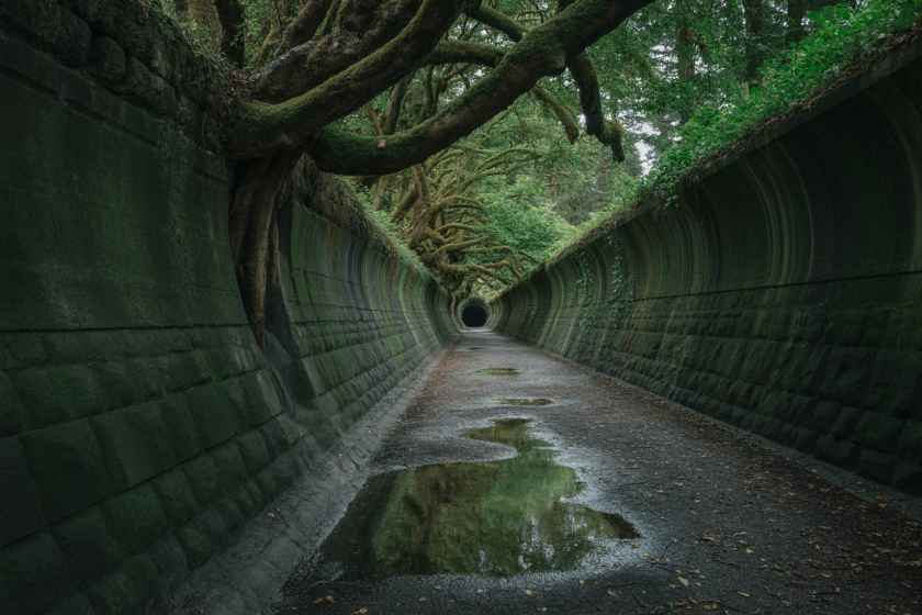 Nuevas aventuras esperan: Dunedin’s Tunnel Beach Walk está ligero para la exploración de verano