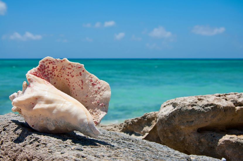 Turks And Caicos Tourism Amid Safety Concerns: What The Rising Challenges Mean For Your Next Vacation