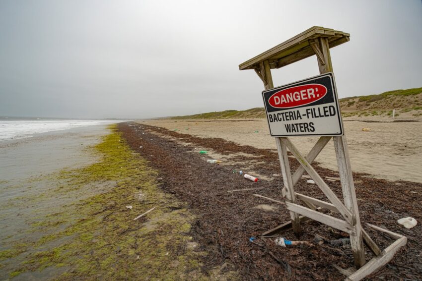 The Most Contaminated Beaches in California, Where Deadly Bacteria Threatens Every Visitor’s Health