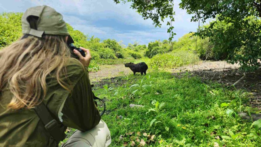 Brazil Shines Globally as Amazon and Pantanal Win Prestigious International Awards